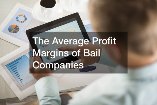The Average Profit Margins of Bail Companies