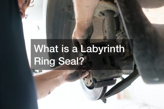 What is a Labyrinth Ring Seal?