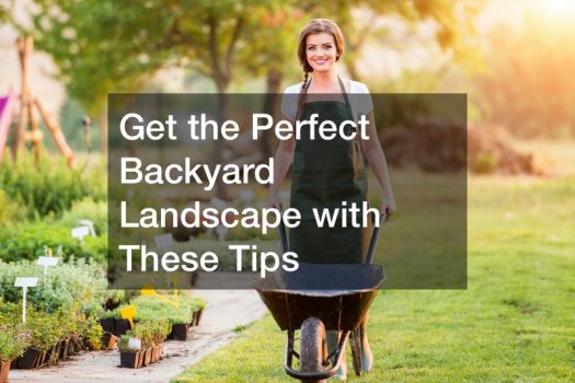 Get the Perfect Backyard Landscape with These Tips