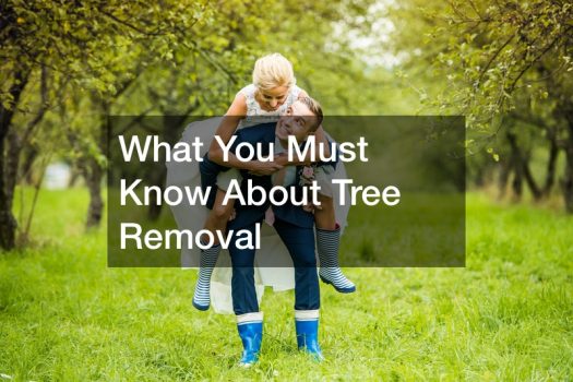What You Must Know About Tree Removal