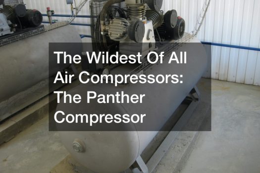 The Wildest Of All Air Compressors  The Panther Compressor