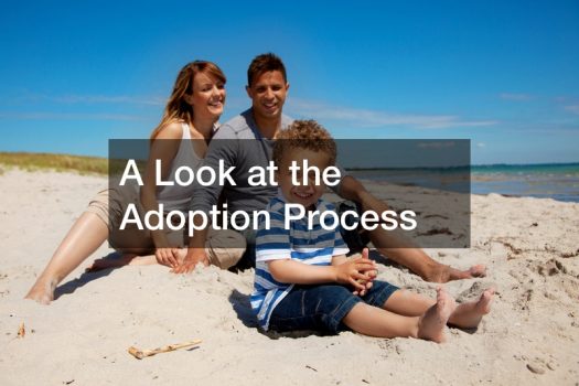 A Look at the Adoption Process