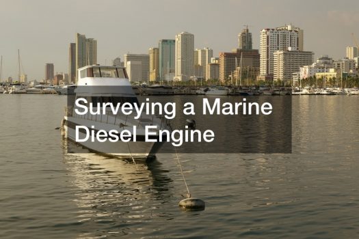 Surveying a Marine Diesel Engine