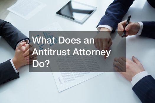 What Does an Antitrust Attorney Do?