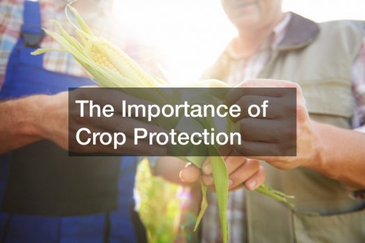 The Importance of Crop Protection