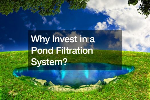 Why Invest in a Pond Filtration System?