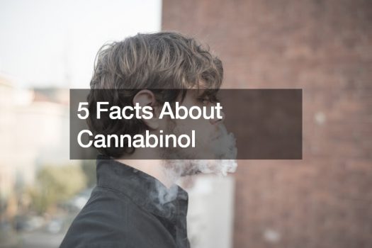 5 Facts About Cannabinol